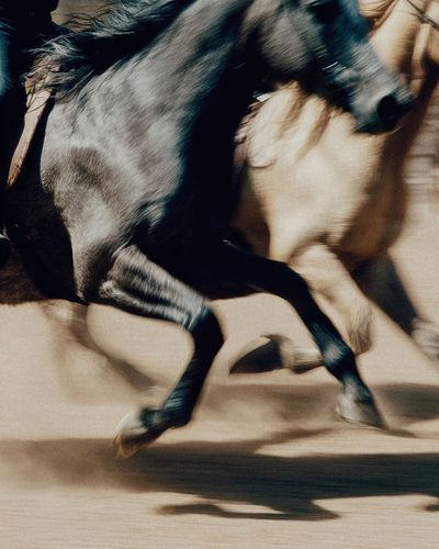 Galloping Horses — Photography Print. poster