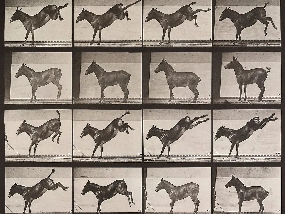 Galloping Horse — Vintage Print. poster detail