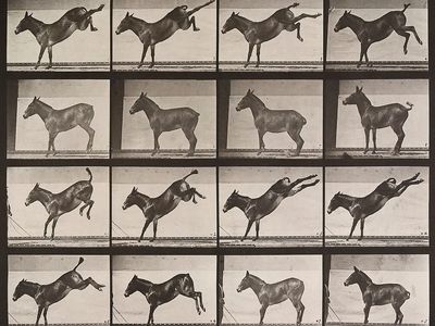 Galloping Horse — Vintage Print. poster
