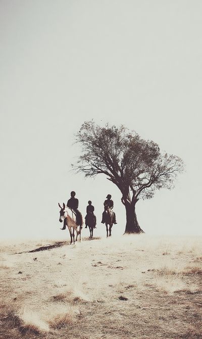 Horse Riders in the Plains Poster. poster