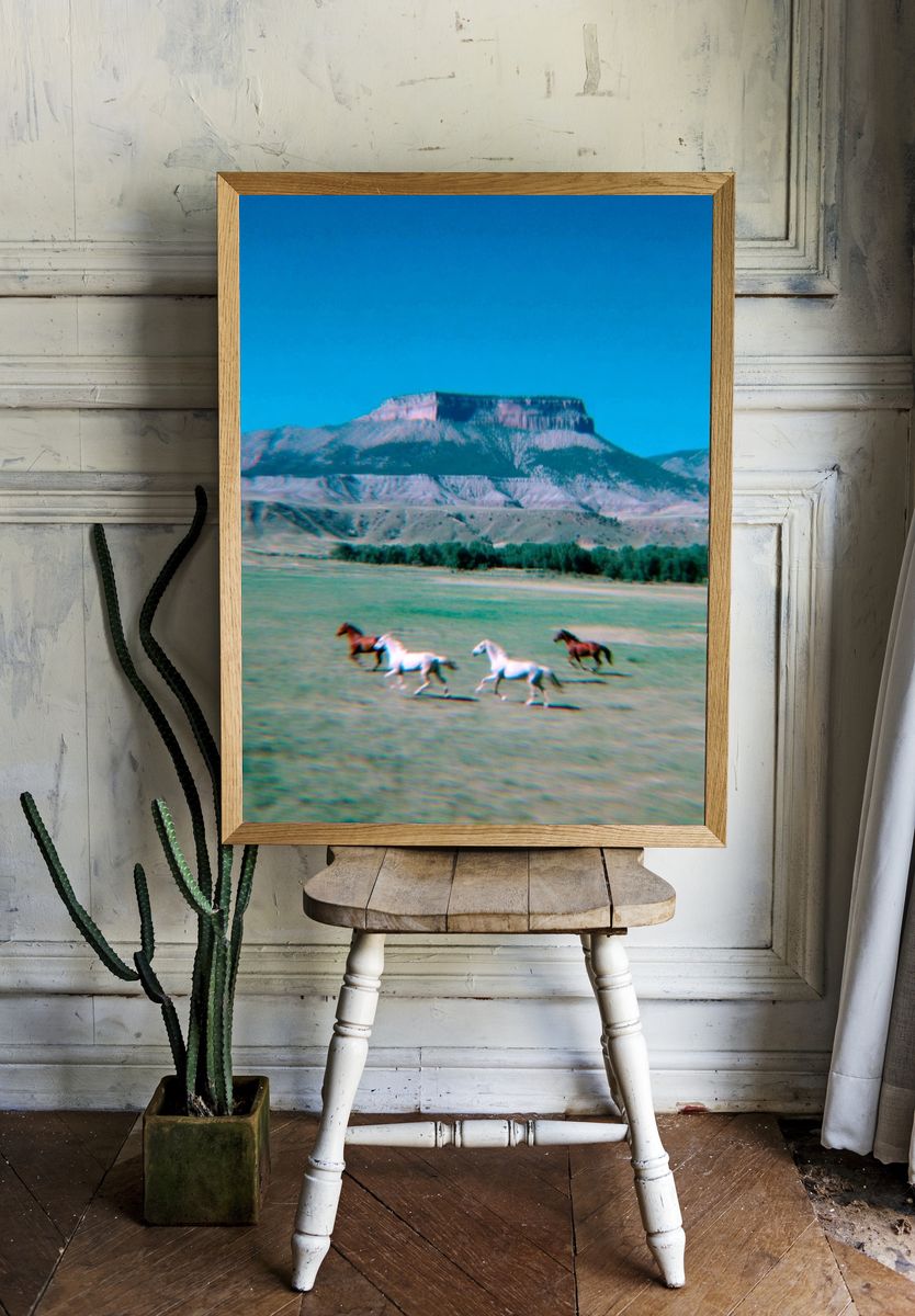 Galloping Horses in Nature Poster. — room view 1