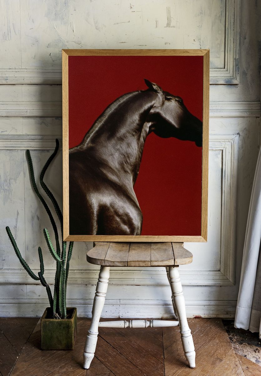 Majestic Horse — Fine Art Print room preview