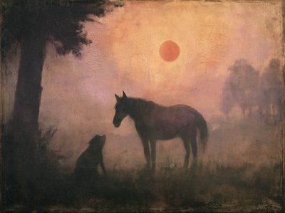 Horse at Sunset Fine-Art Print. poster