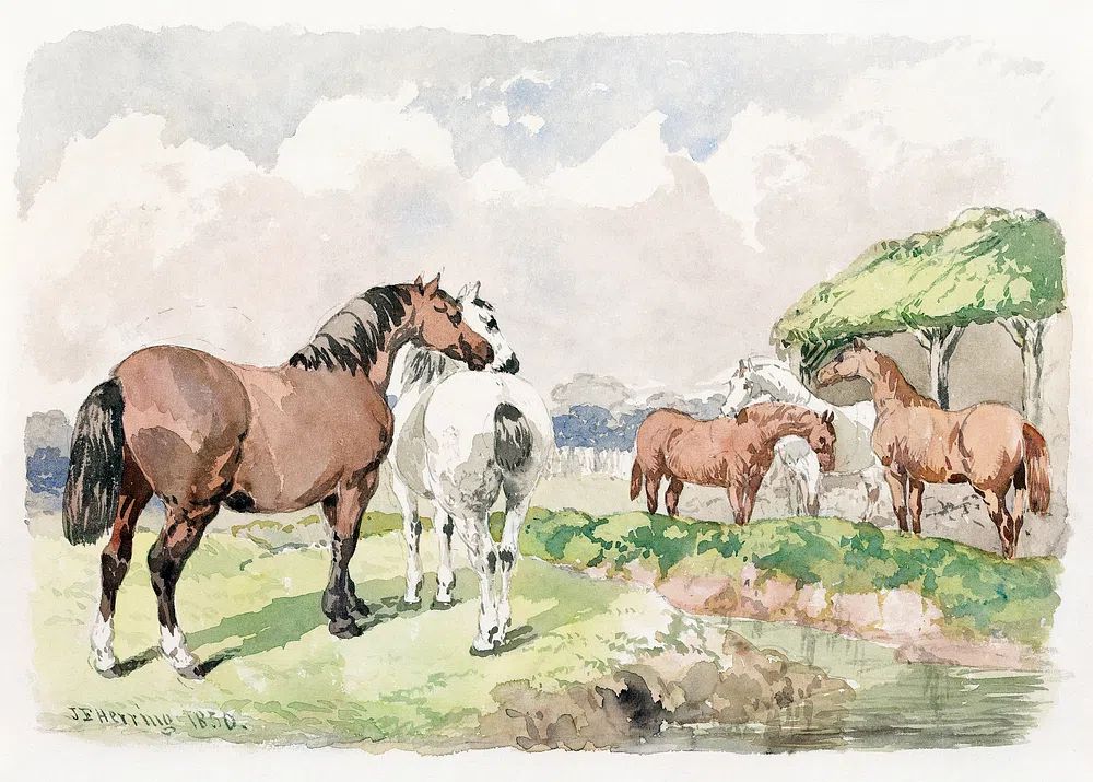Horses in Pastoral Landscape — Watercolor Print. poster — animals art