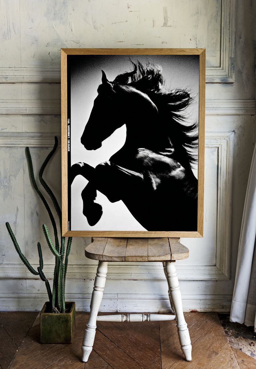 Majestic Horse — Black and White Print. — room view 1