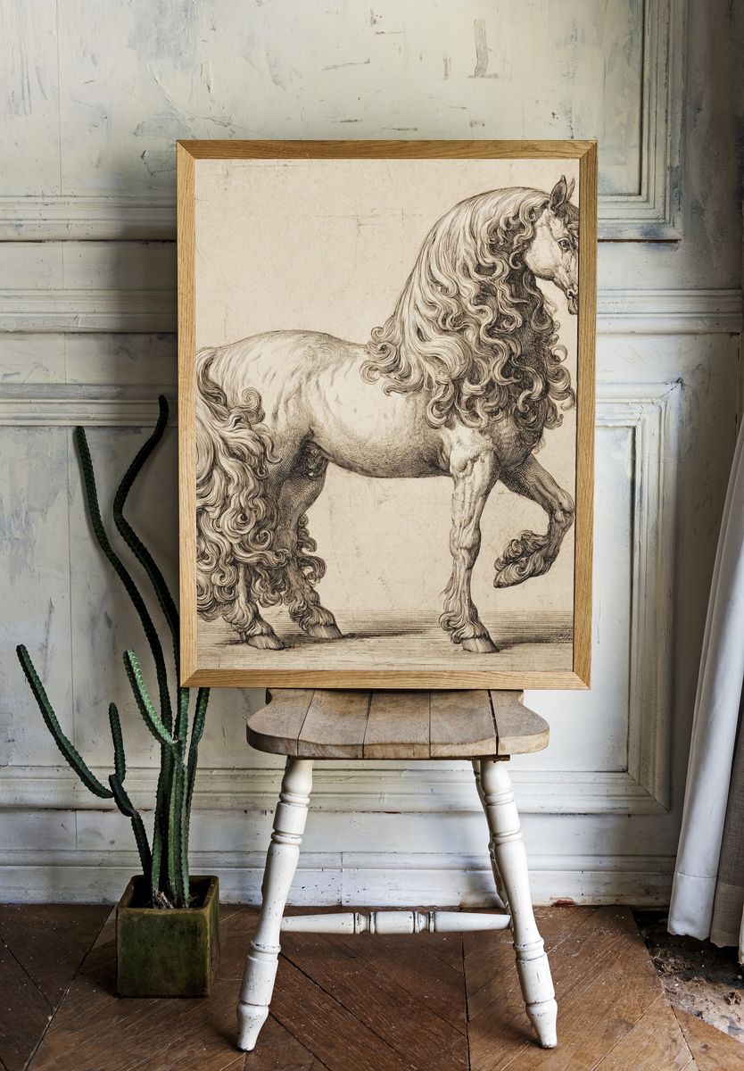 Elegant Horse Illustration Poster. room preview