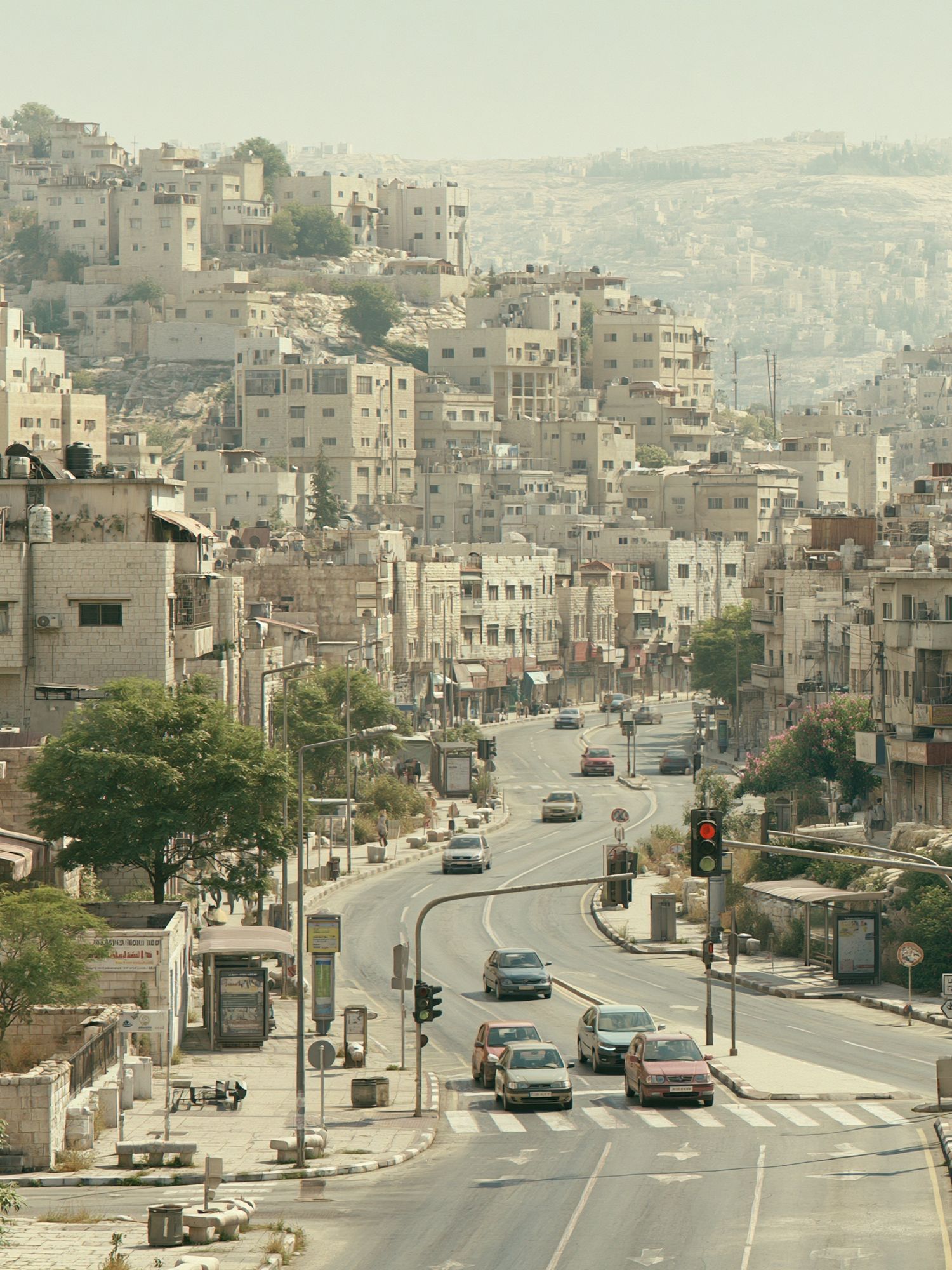 Hillside City Street Photography Poster. poster — photography art