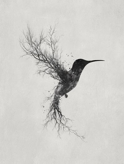 Hummingbird Tree Silhouette Print. poster