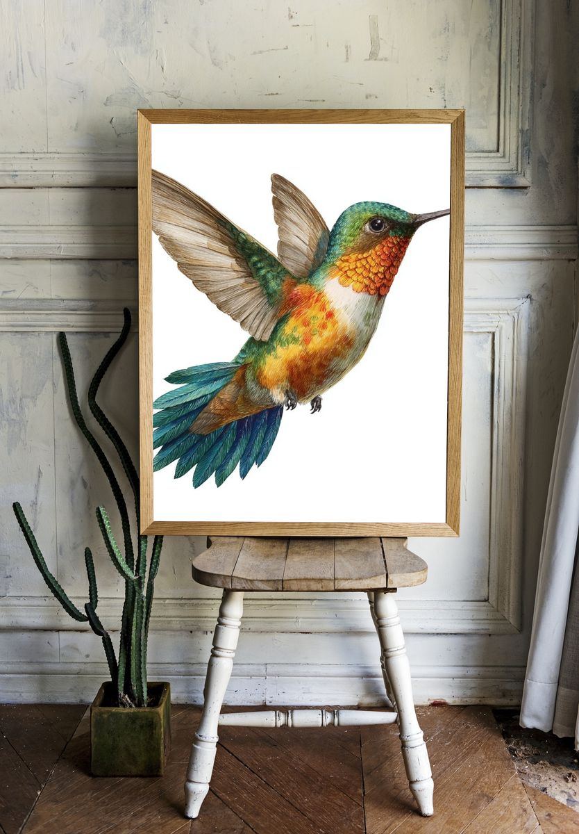 Colorful Hummingbird Illustration Poster. room preview