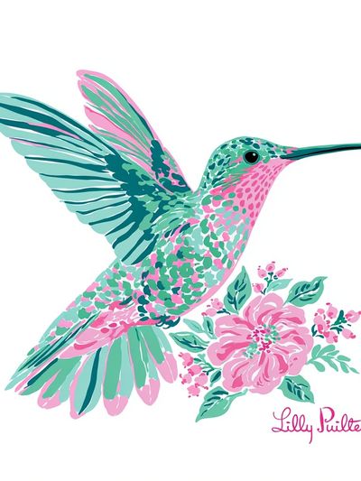 Hummingbird Floral Illustration Poster. poster print