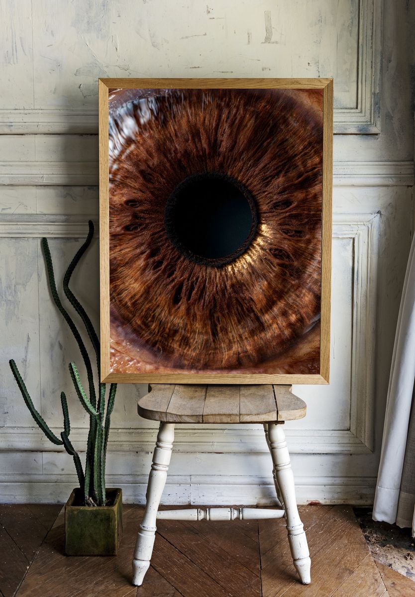 Human Eye Macro Photography Poster. room preview