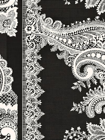 Paisley Lace Pattern Print.