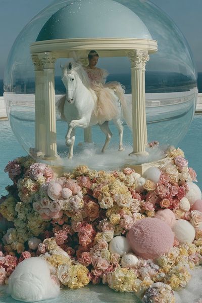 Dreamlike Horse Dome Illustration Poster. poster print