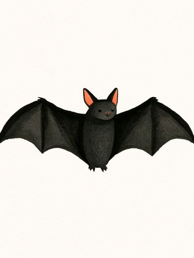 Cute Bat Illustration Poster.