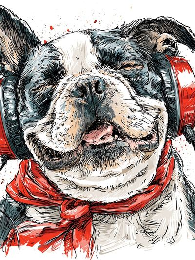 Headphone Bulldog Illustration Poster. poster print