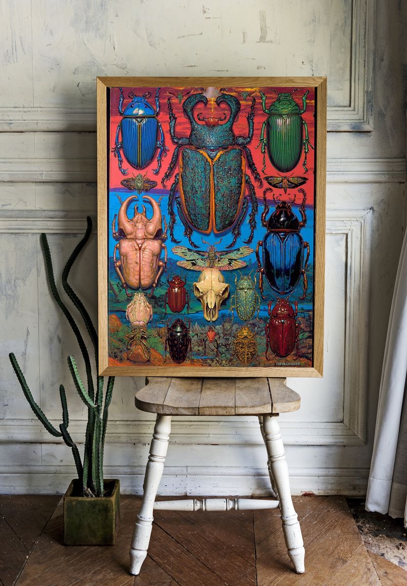 Beetle Collection Illustration Poster. room preview