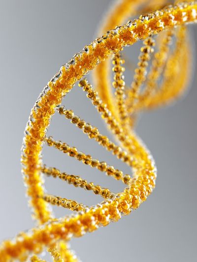 Golden DNA Helix Illustration Poster.