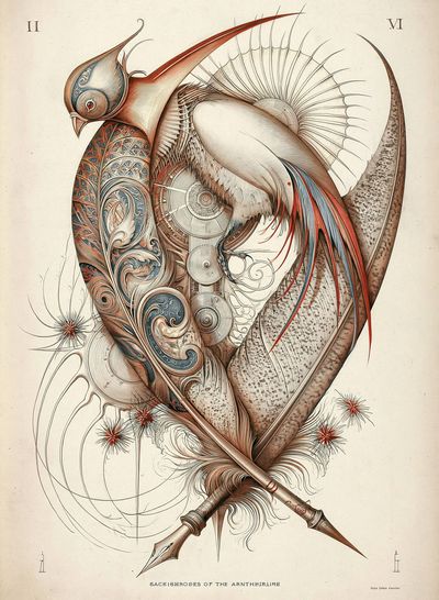 Surreal Bird Illustration Poster.
