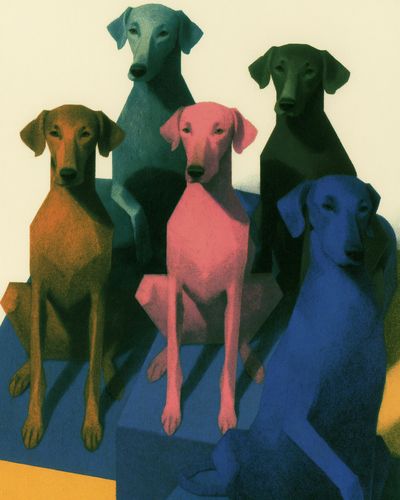 Colorful Dachshund Group Illustration Poster. poster