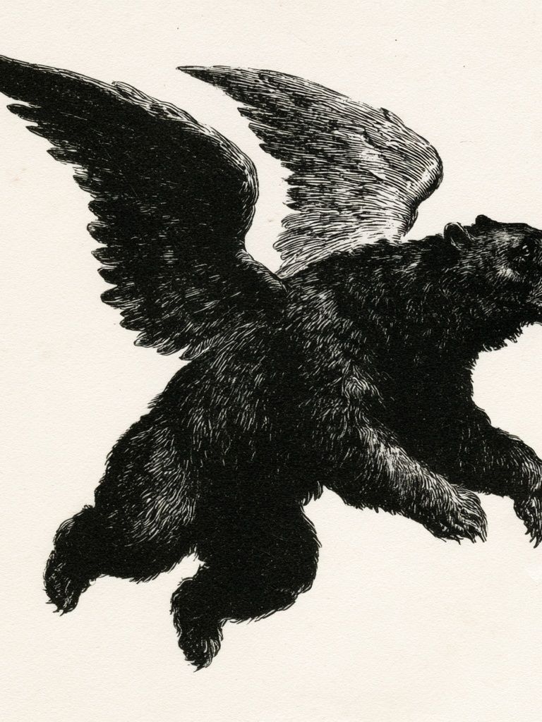 Winged Bear Illustration Poster. poster — illustration art