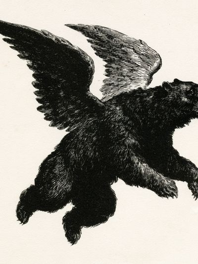Winged Bear Illustration Poster.