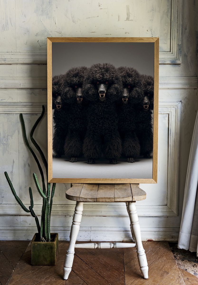 Cerberus Poodle Illustration Poster. room preview