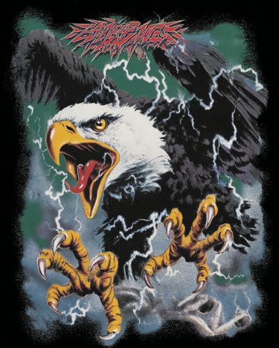 Screaming Eagle Metal Poster. poster