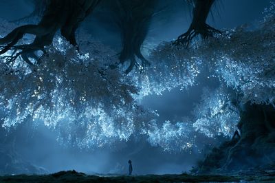 Enchanted Blue Forest Poster. poster