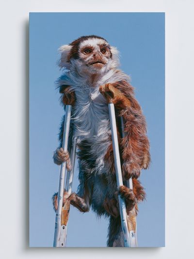 Monkey on Crutches Illustration Poster. poster print