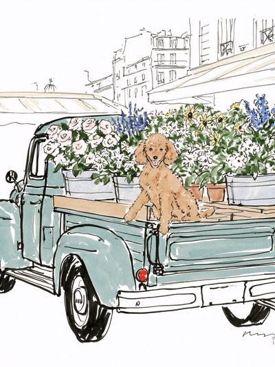 Poodle Flower Truck Illustration Poster. poster
