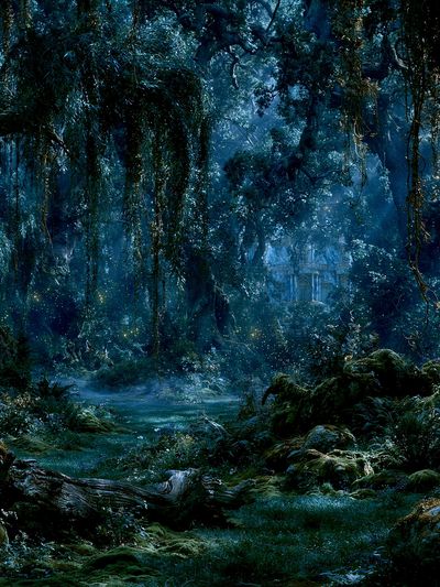 Enchanted Moonlit Forest Print.