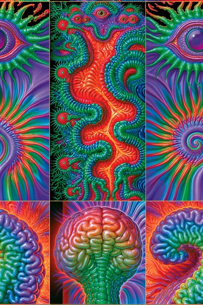 Psychedelic Brain Collage Poster. poster