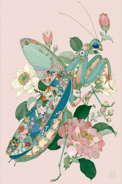 Floral Praying Mantis Illustration Poster. poster