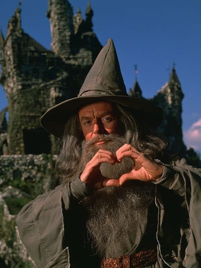 Wizard Portrait Fantasy Print. poster