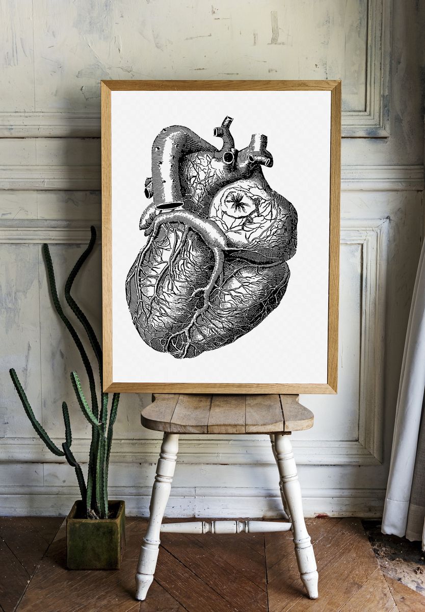 Realistic heart drawing, medical vintage. — room view 1