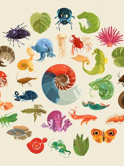 Colorful Marine Life Illustration Poster. poster