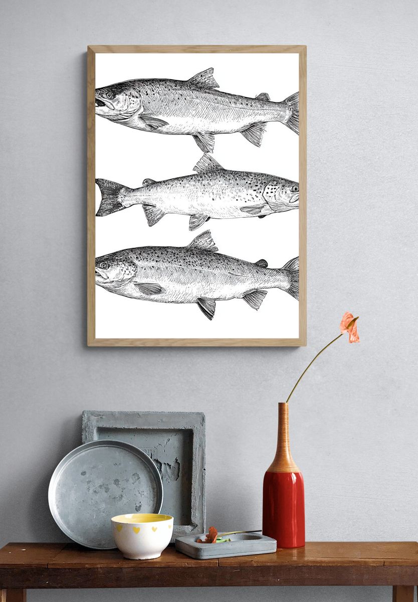 Salmon Study Illustration Poster. — room view 3