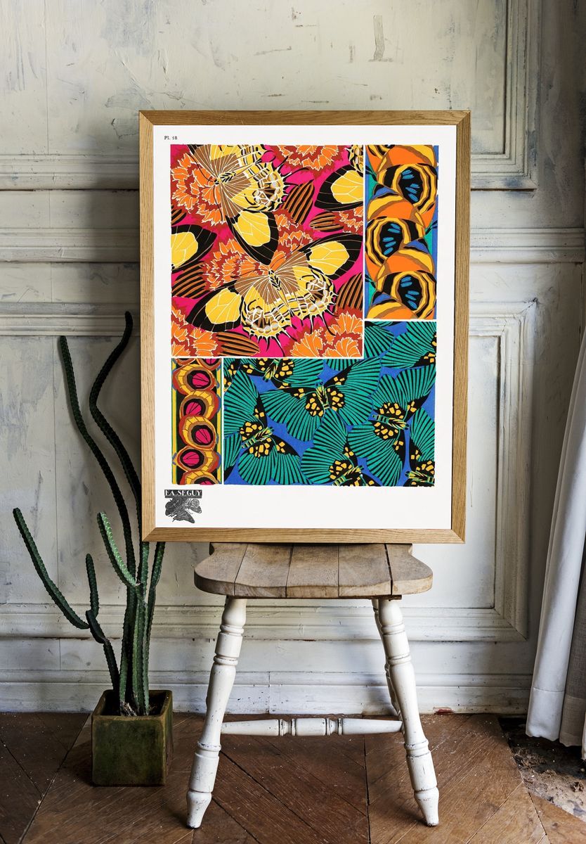 E.A. Séguy 's vintage butterflies. room preview