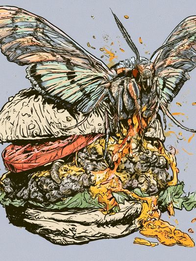 Moth Burger Illustration Poster. poster