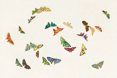 Moth Specimen Illustration Poster. poster