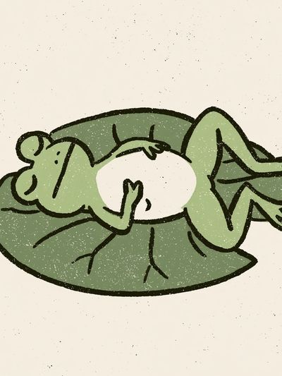 Sleeping Frog Illustration Poster.