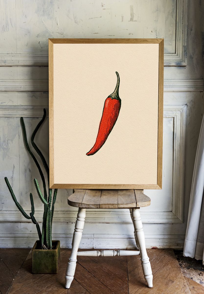 Red Chili Pepper Illustration Poster. room preview