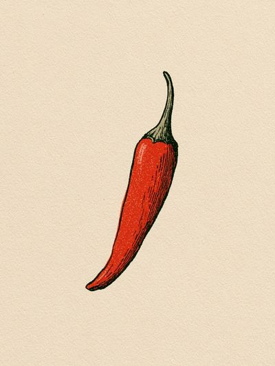 Red Chili Pepper Illustration Poster.