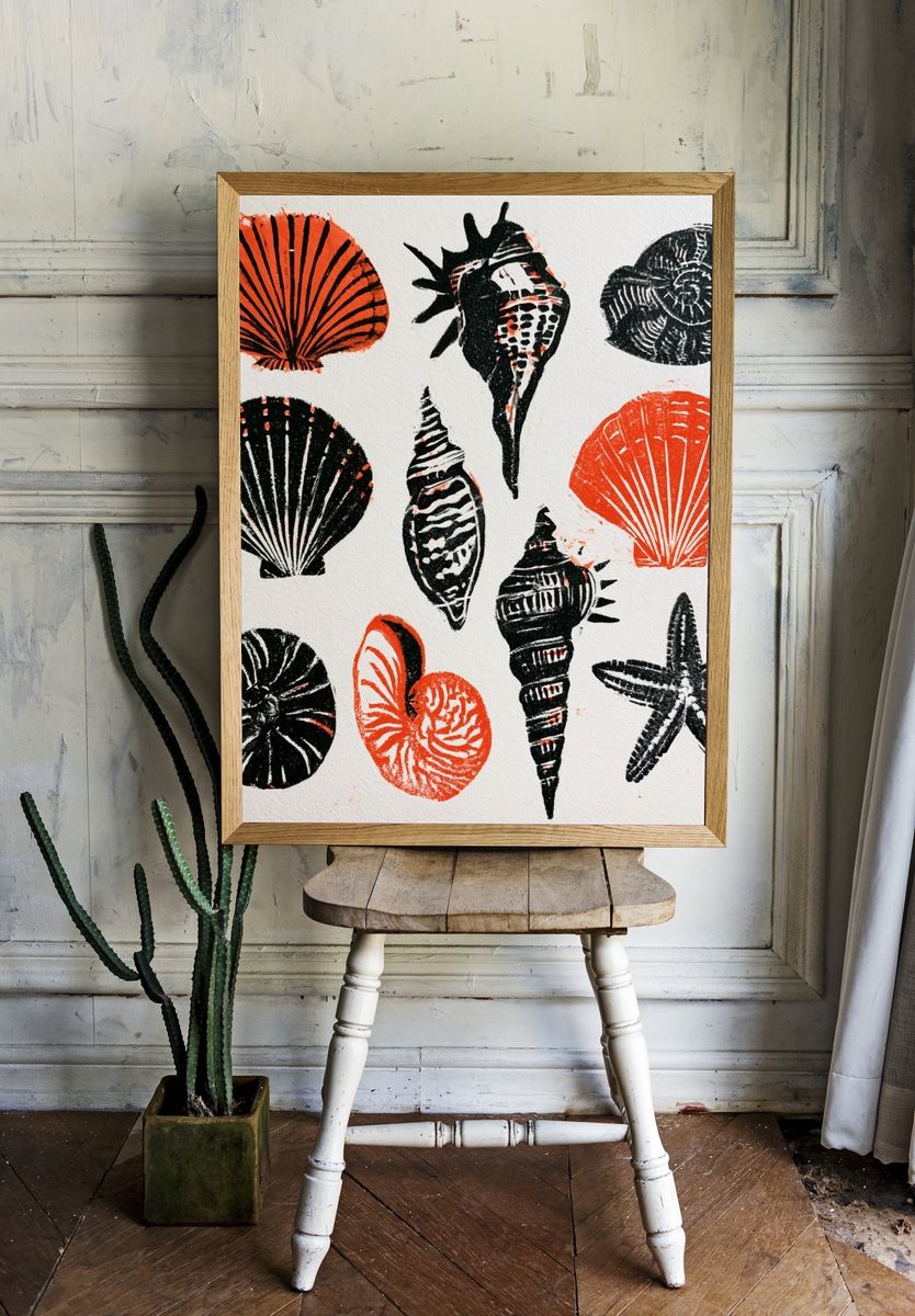 Seashell Study Illustration Poster. — room view 1