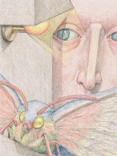 Surreal Face and Moth Illustration Poster.