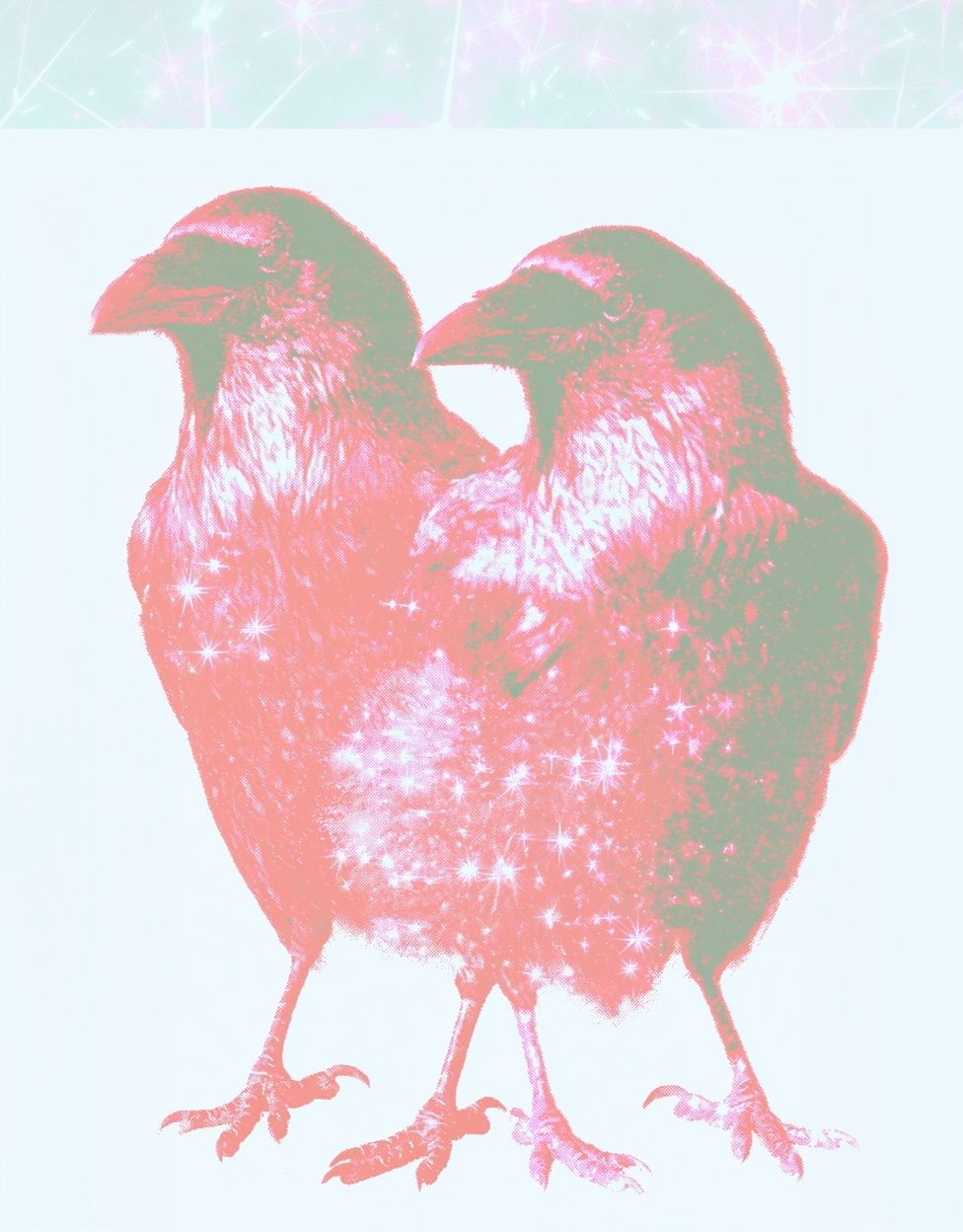 Twin Sparkle Birds Illustration Poster. poster detail