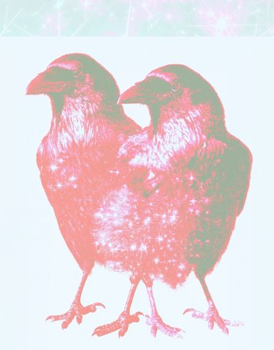 Twin Sparkle Birds Illustration Poster. poster
