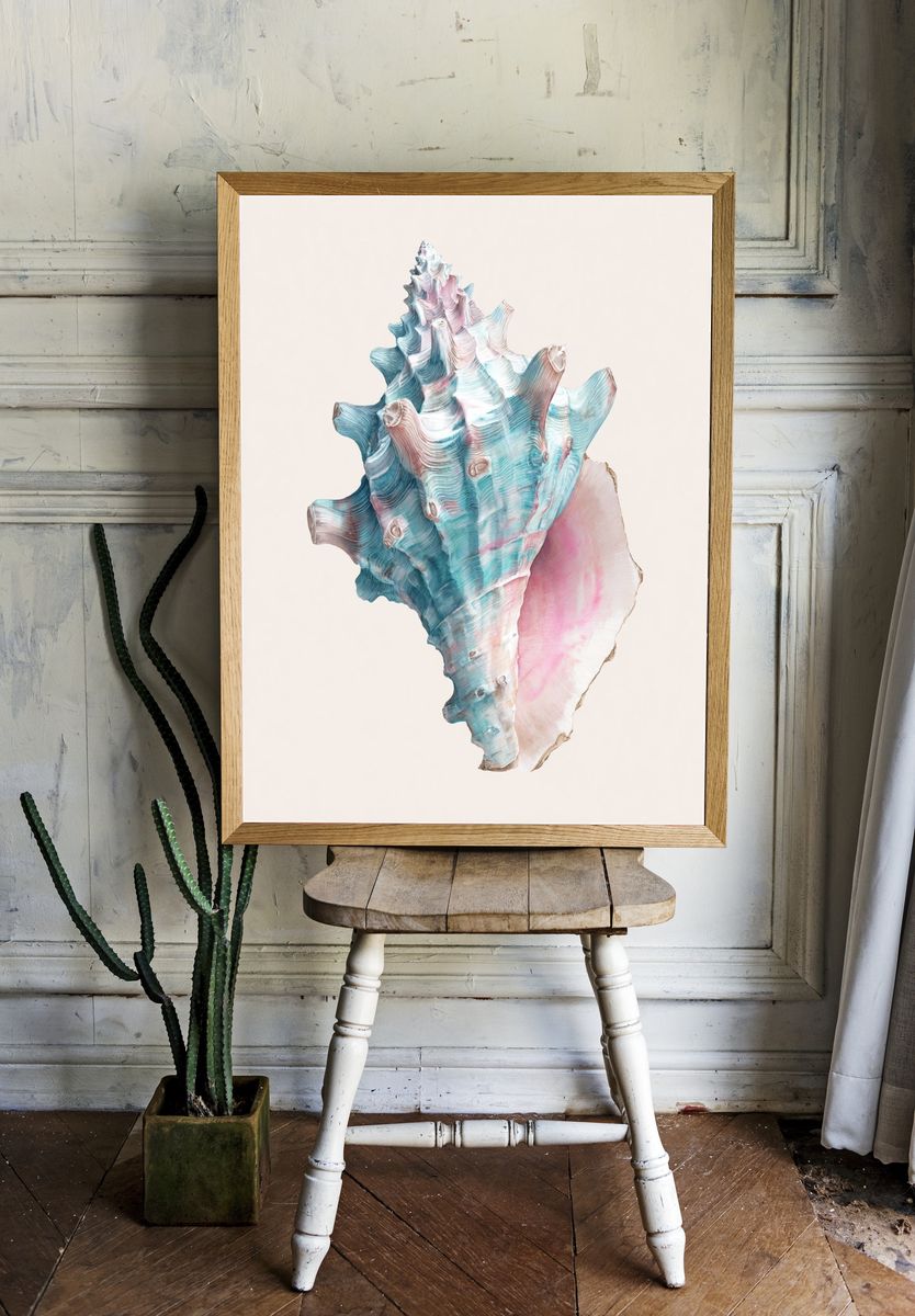 Pastel Seashell Illustration Poster. — room view 1
