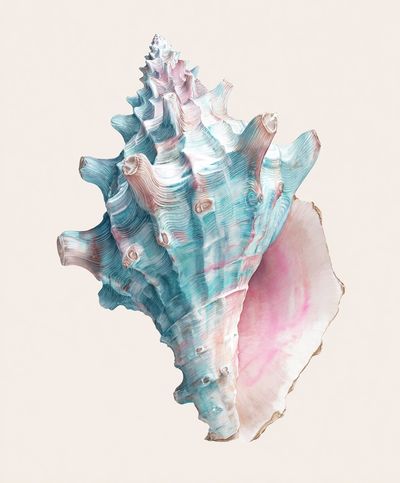 Pastel Seashell Illustration Poster.