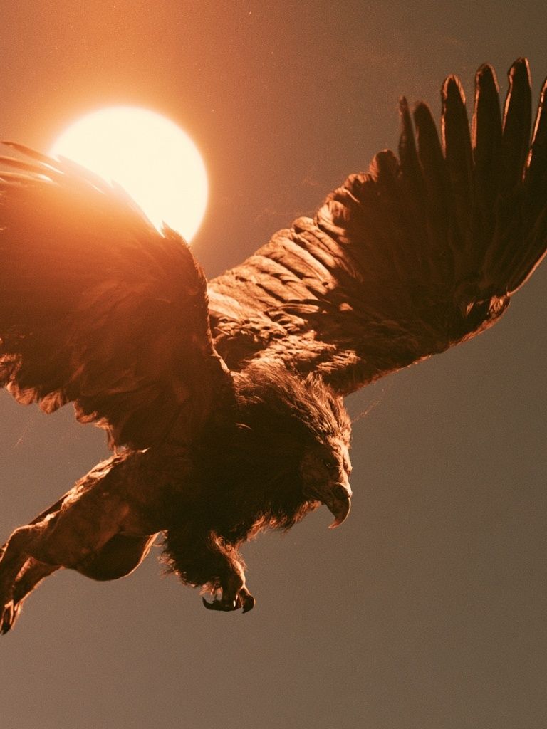 Winged Lion at Sunset Poster. poster detail